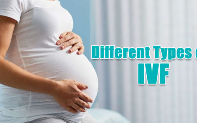 What are the various types of treatments offered at the IVF Center in Noida?