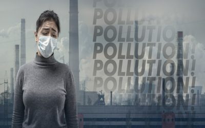 What Are The Effects Of Pollution On Fertility?