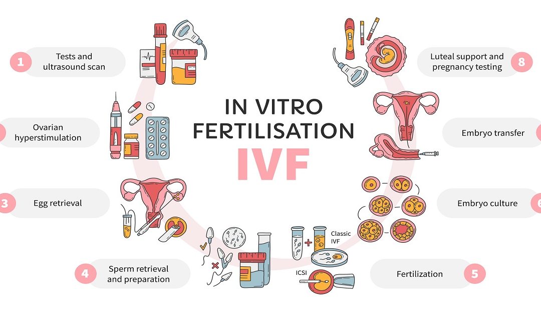 IVF: What is it and When is IVF Needed?