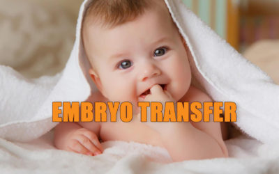 Do I need to Rest after Embryo Transfer?