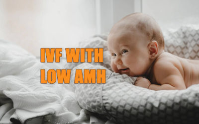 Everything You Need to Know About IVF with Low AMH