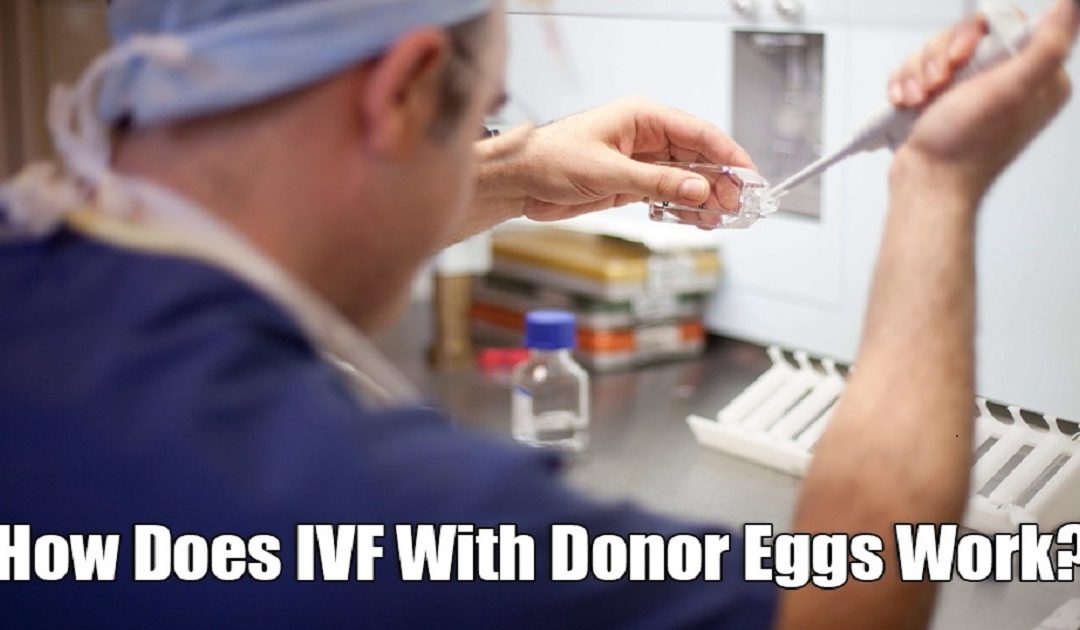 IVF with Donor Eggs : Process & Success Rate