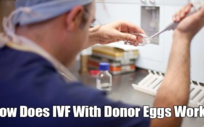IVF with Donor Eggs : Process & Success Rate