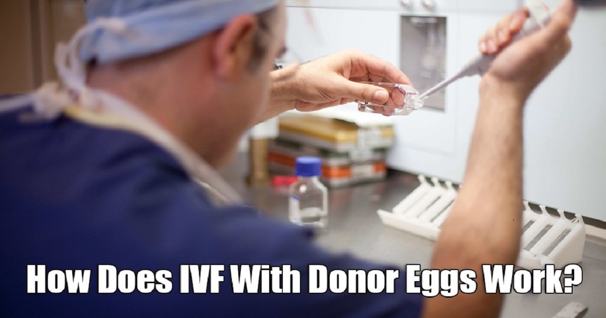 ivf with donor eggs