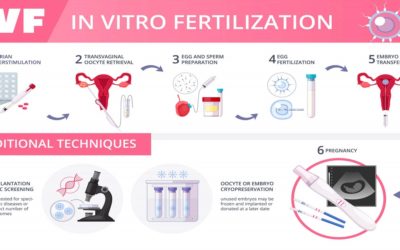 What is IVF | How IVF Treatment is Done?