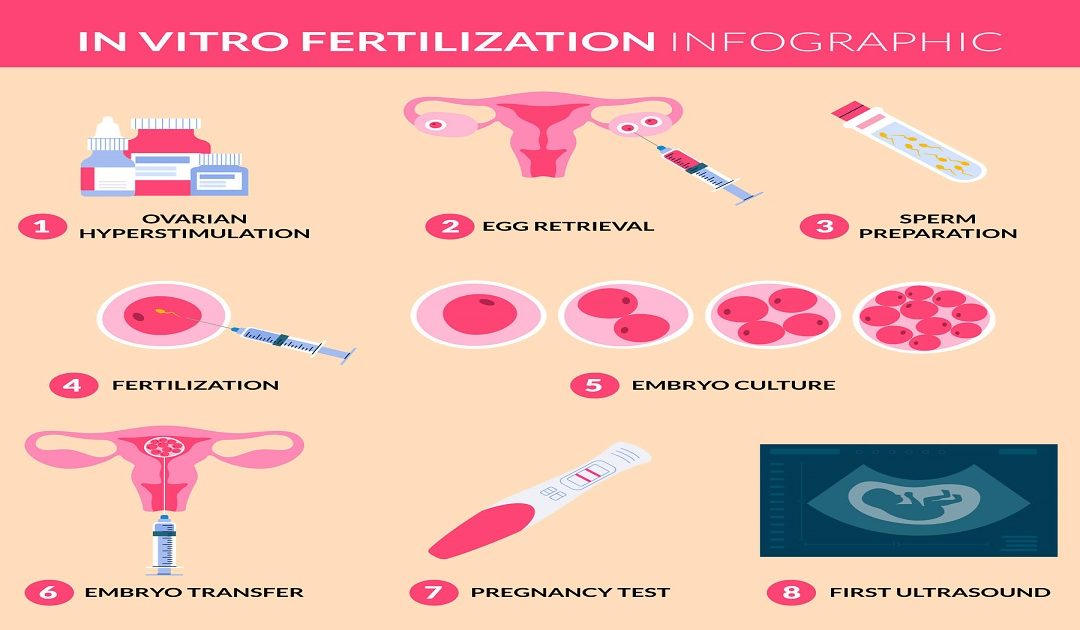 IVF Kya Hai | IVF Process Step by Step in Hindi