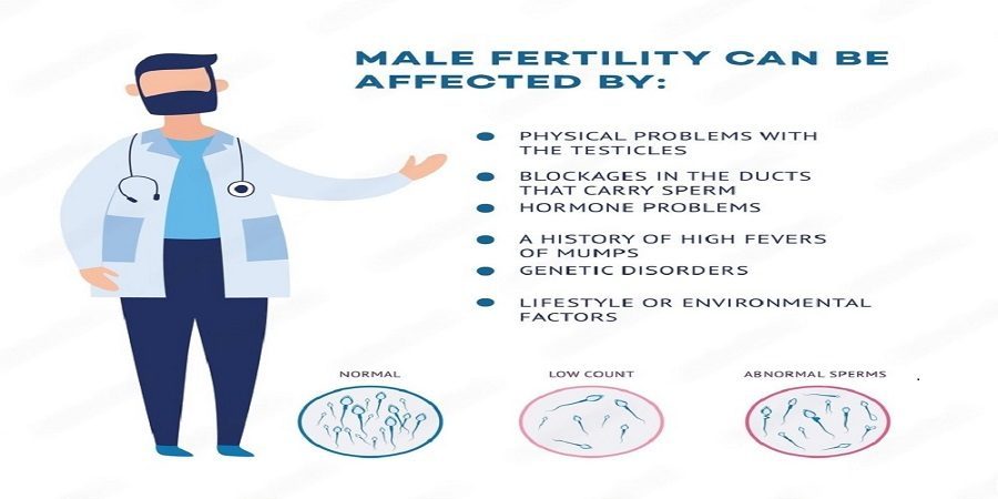 Male Infertility Causes