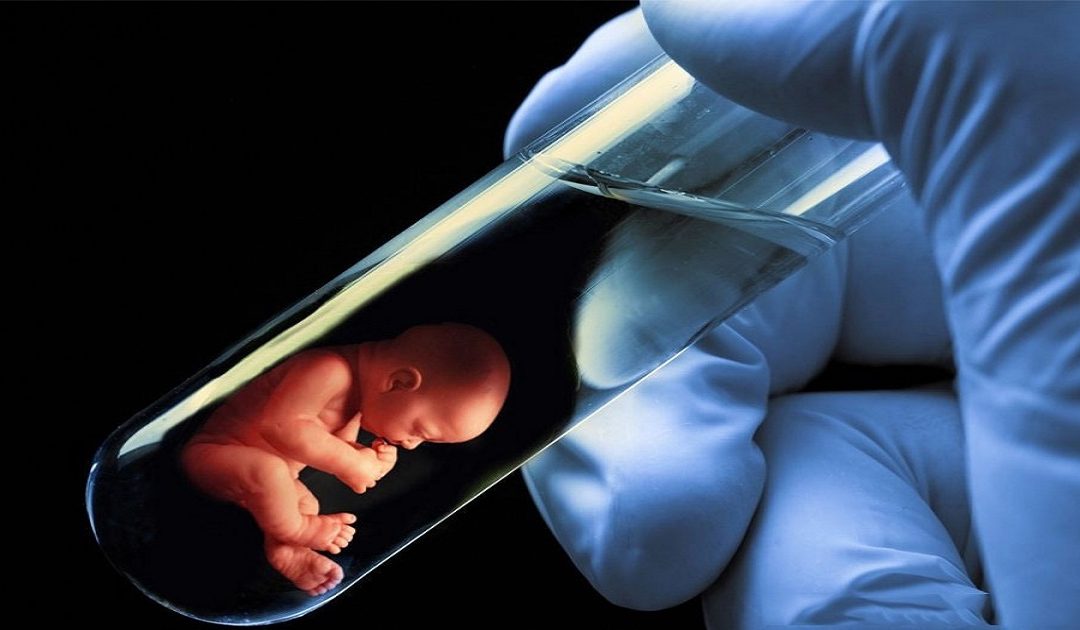 What is Test Tube Baby : Process, Cost & Success Rate