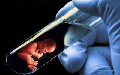 What is Test Tube Baby : Process, Cost & Success Rate