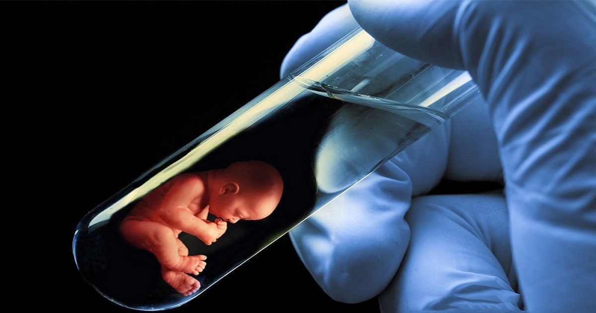 Test Tube Baby: Process, Cost, Risk & Success Rate