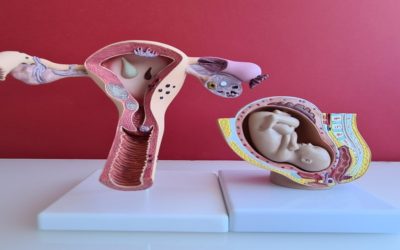 9 Positive Signs After Embryo Transfer