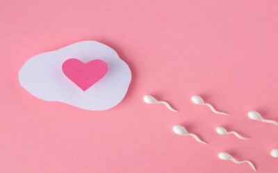 How to Confirm Whether Sperm Went Inside?