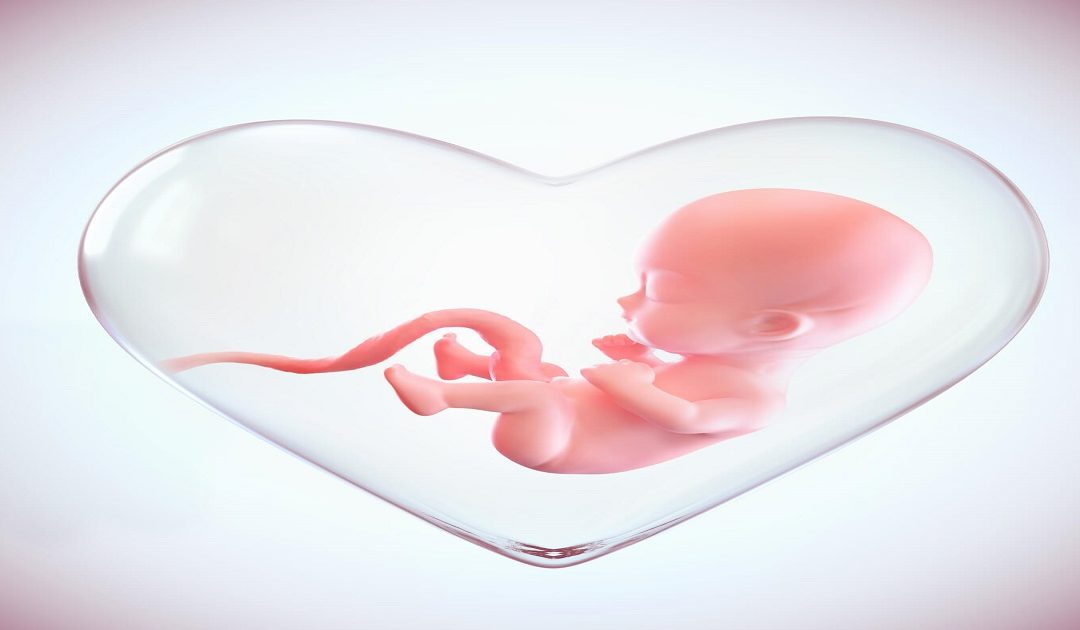 IVF Baby: 7 Facts You Need to Know