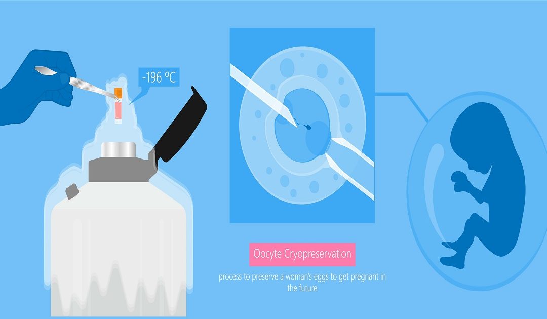 What is Egg Freezing Cost in India?