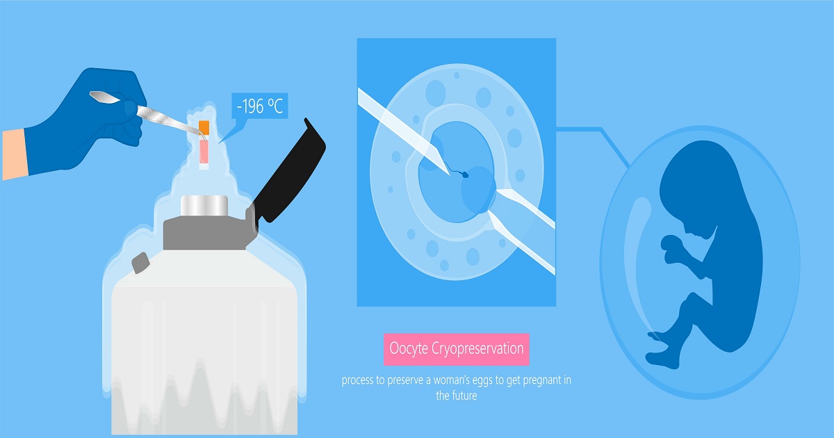 What Is Egg Freezing Cost In India Dr Mona Dahiya