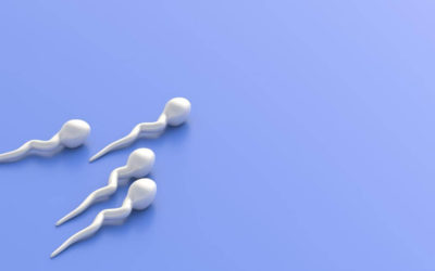 What Happens If a Man Releases Sperm Daily?