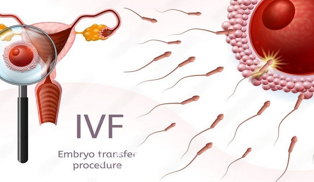 Embryo Transfer Technology In IVF