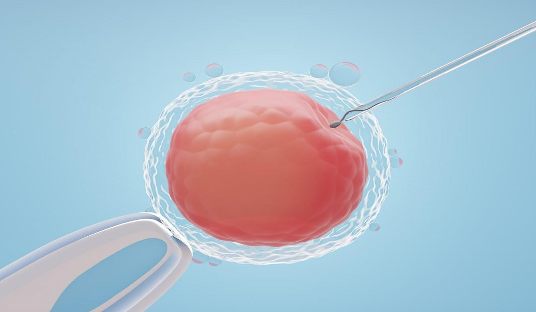 IVF Embryo Transfer: Procedure, Risk & Cost