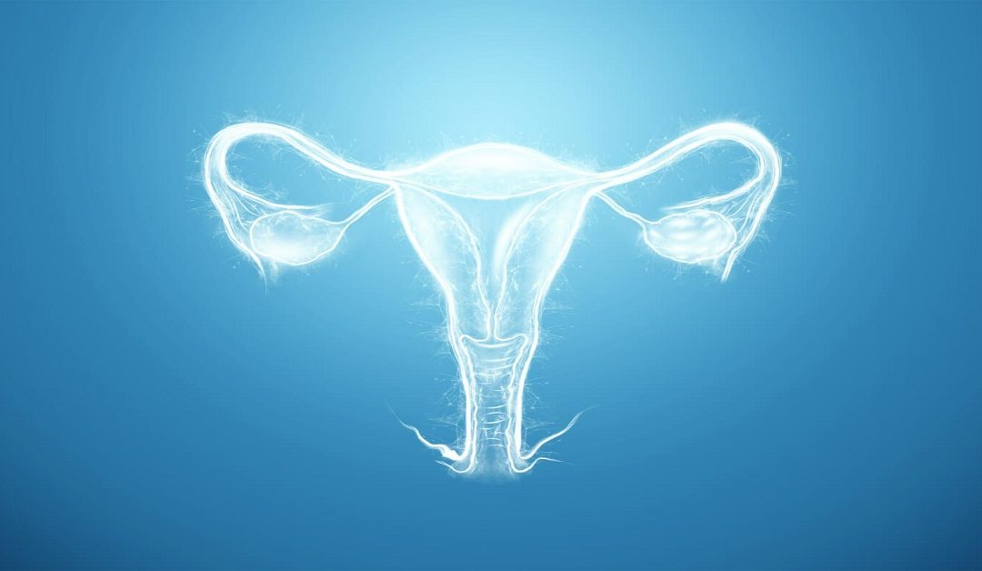 Effects of Bicornuate Uterus on Pregnancy & Its Treatment