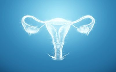 Effects of Bicornuate Uterus on Pregnancy & Its Treatment