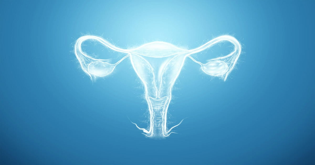 Bicornuate Uterus Pregnancy & Its Treatment