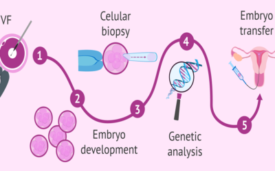 What is Preimplantation Genetic Testing & Diagnosis?