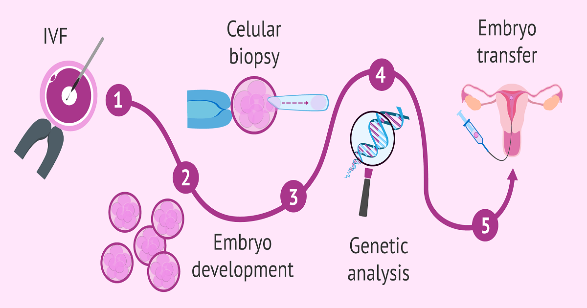 Preimplantation Genetic Testing & Diagnosis