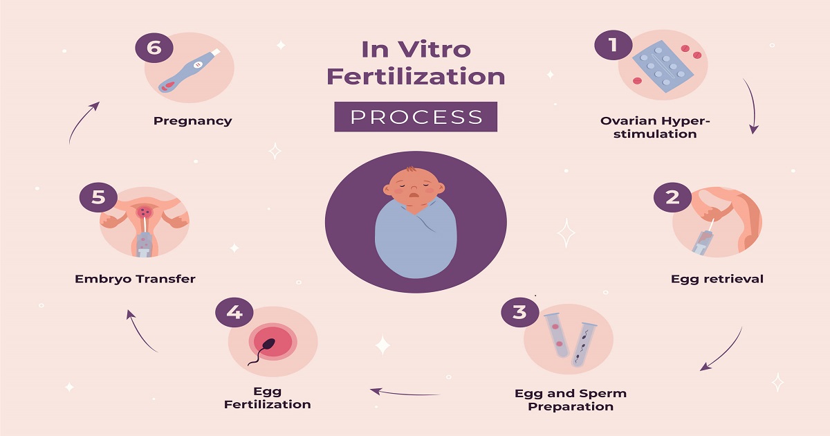 Short vs Long IVF Protocol