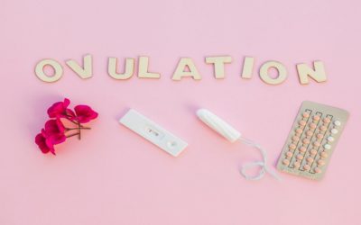 7 Signs Indicating Your Ovulation Period Is Over