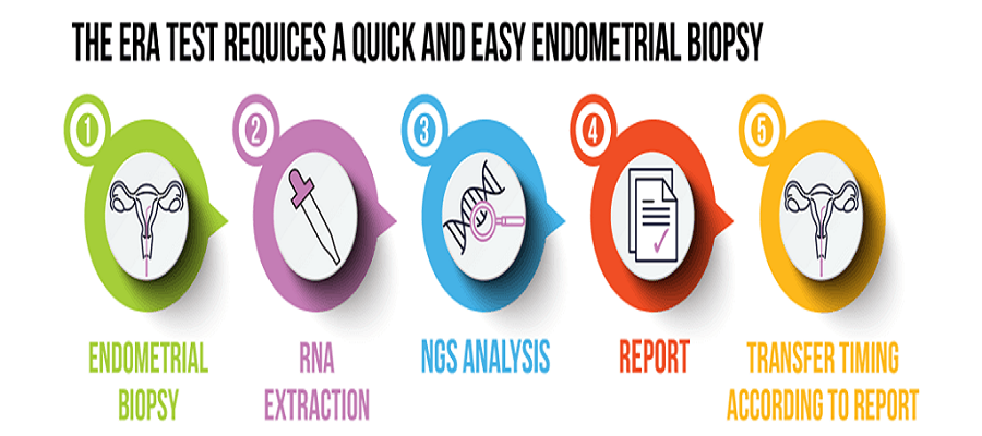 Endometrial Receptivity Analysis Test Procedure