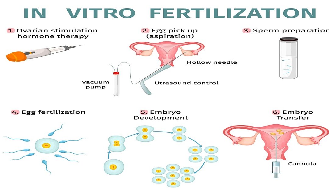 Difference Between Mild IVF vs Conventional IVF