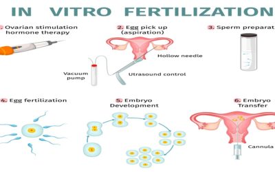 Difference Between Mild IVF vs Conventional IVF
