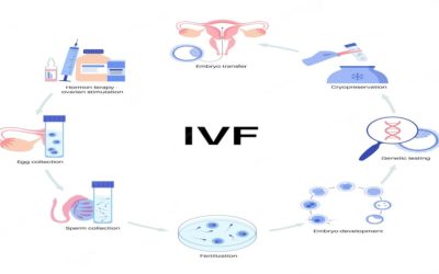 Mild IVF: Benefit, Success Rate & Cost