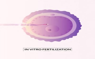 Mini IVF: Benefit, Success Rate & Cost