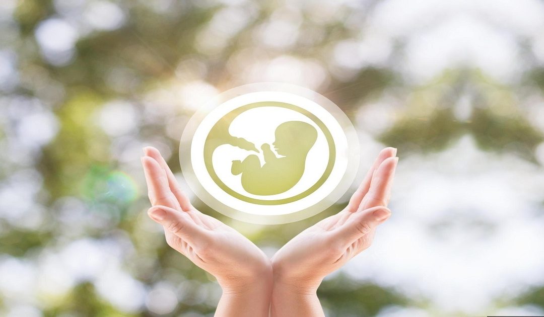 Natural Cycle IVF: Success Rate, Procedure & Cost
