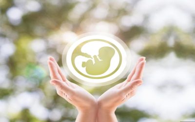 Natural Cycle IVF: Success Rate, Procedure & Cost