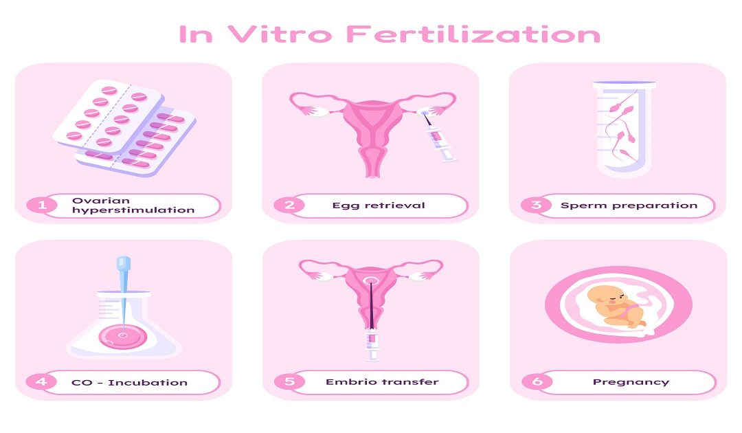Difference Between Mini IVF vs Conventional IVF