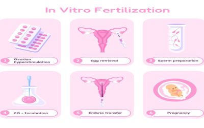 Difference Between Mini IVF vs Conventional IVF