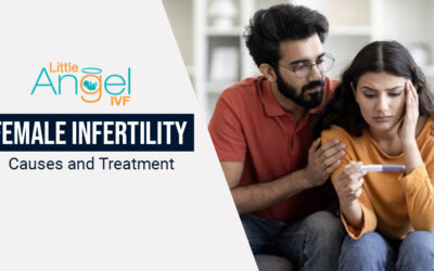 Female Infertility Causes and Treatment