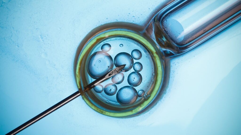 Donor Embryo IVF Treatment