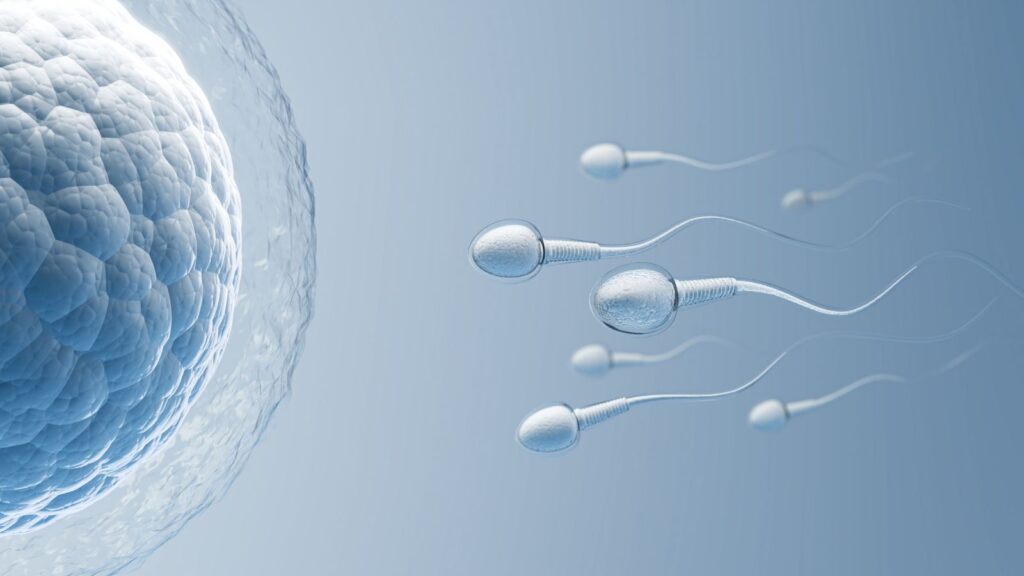 Low Sperm Count