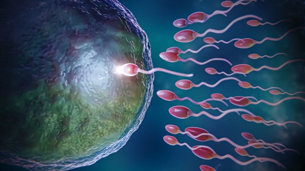 Asthenozoospermia